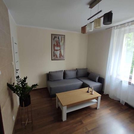 Obok Szczesliwej 7 Apartment กลีวิตเซ ภายนอก รูปภาพ
