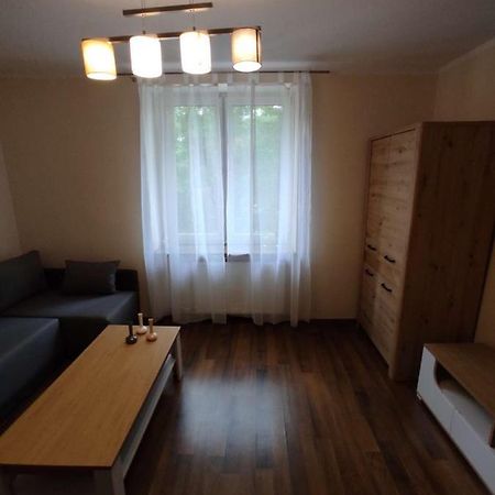 Obok Szczesliwej 7 Apartment กลีวิตเซ ภายนอก รูปภาพ
