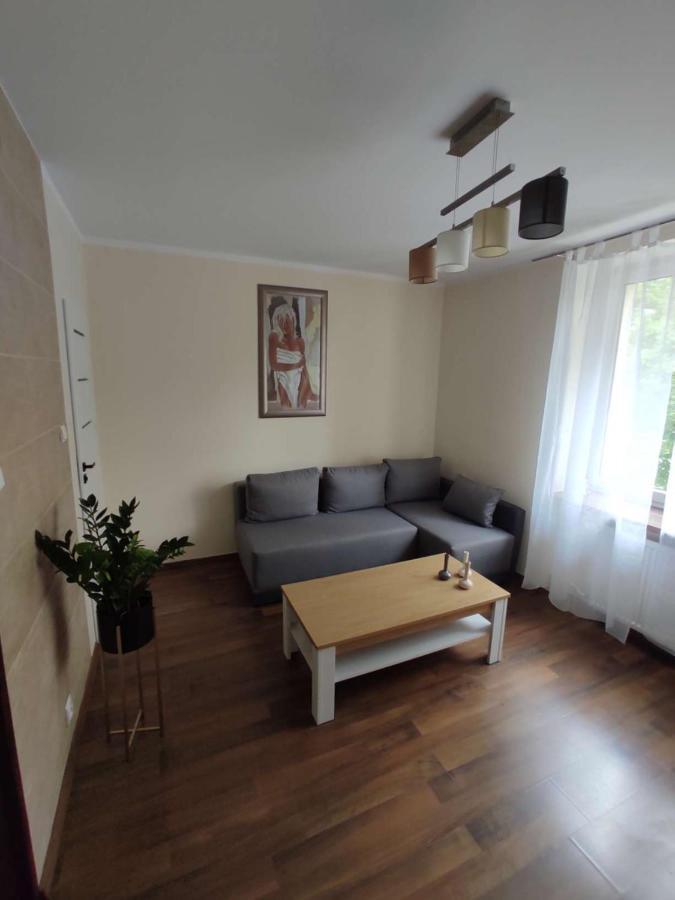Obok Szczesliwej 7 Apartment กลีวิตเซ ภายนอก รูปภาพ